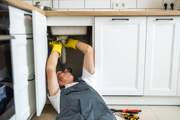 Best Affordable Plumber Near Me  in Pierce, CO